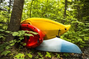 kayaks resting on tree
