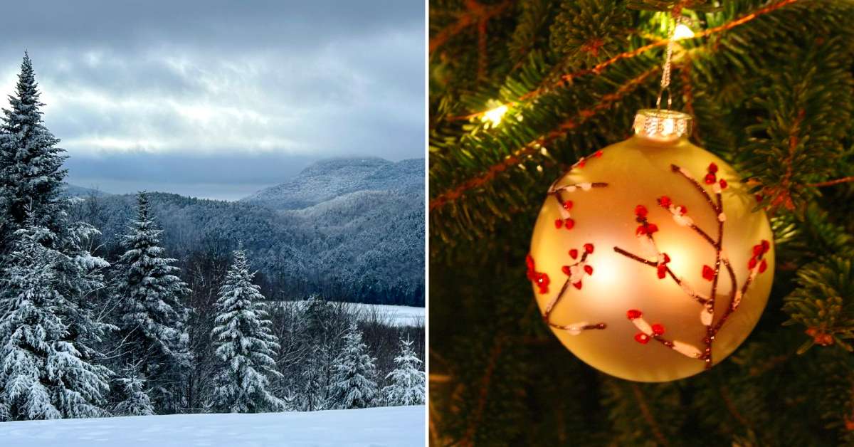 split image. on left is snowy mountains. on right is close up of gold and red ornament on a tree