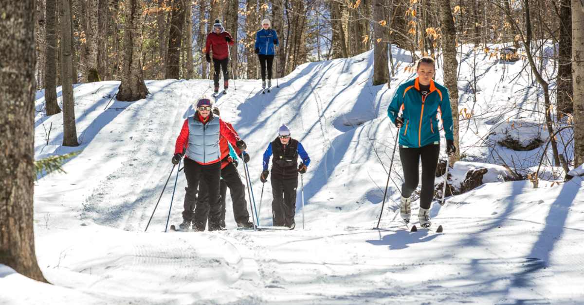group of cross-country skiers on a trail