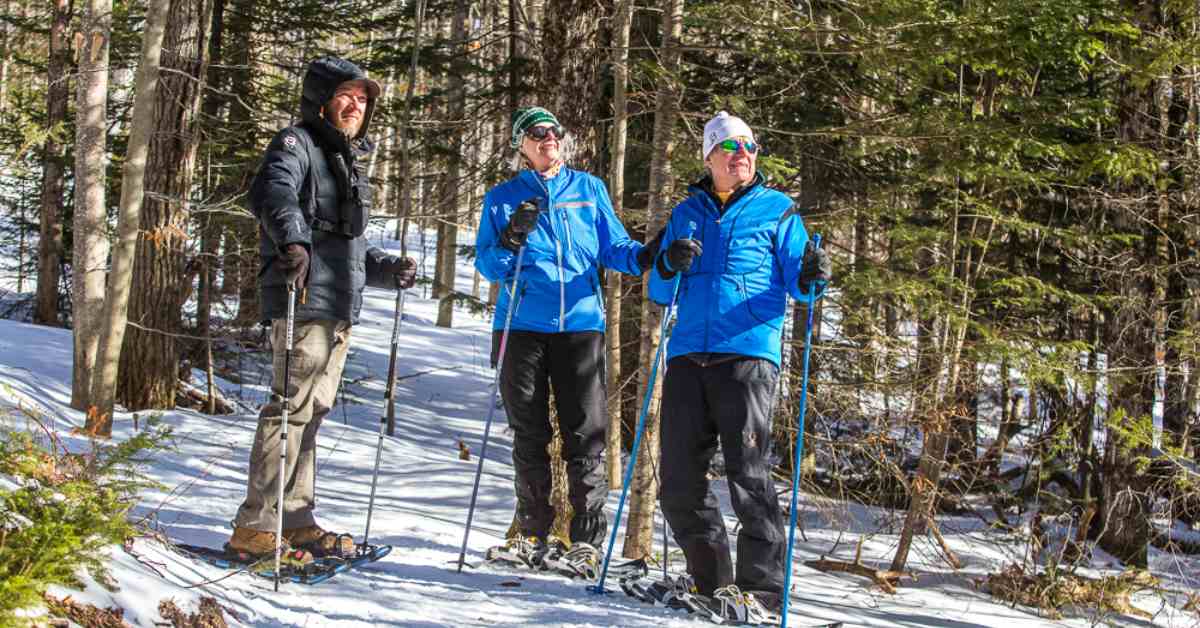 group of snowshoers in the forest