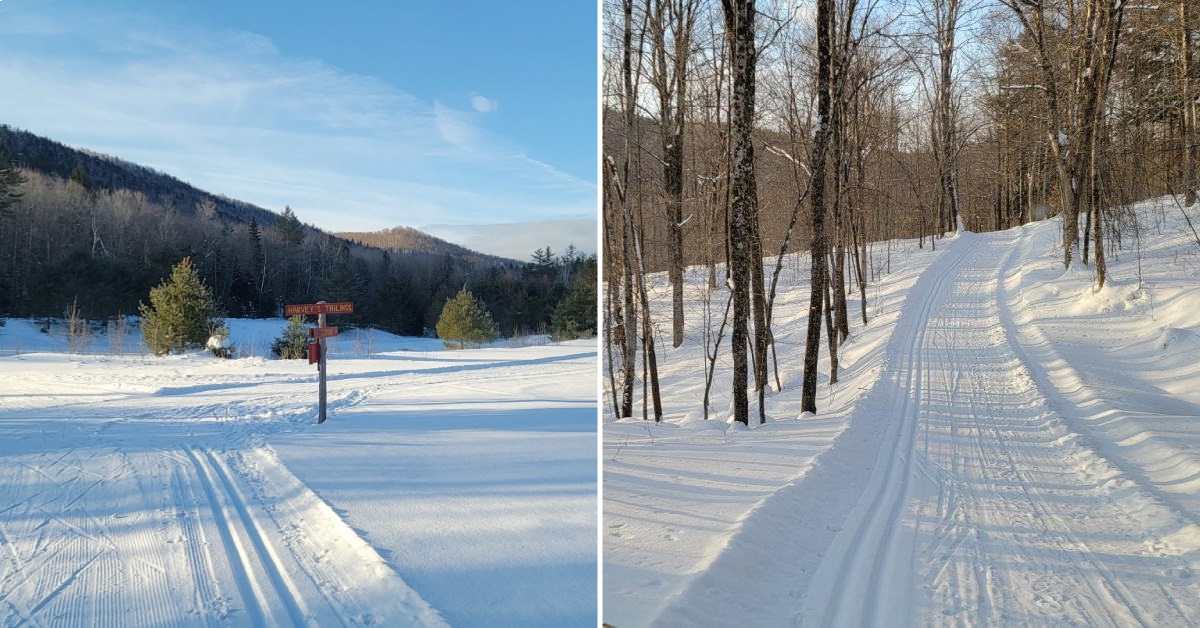 split image. on left is view of mountains from xc-ski trail. on right is view of woods and xc-ski trail