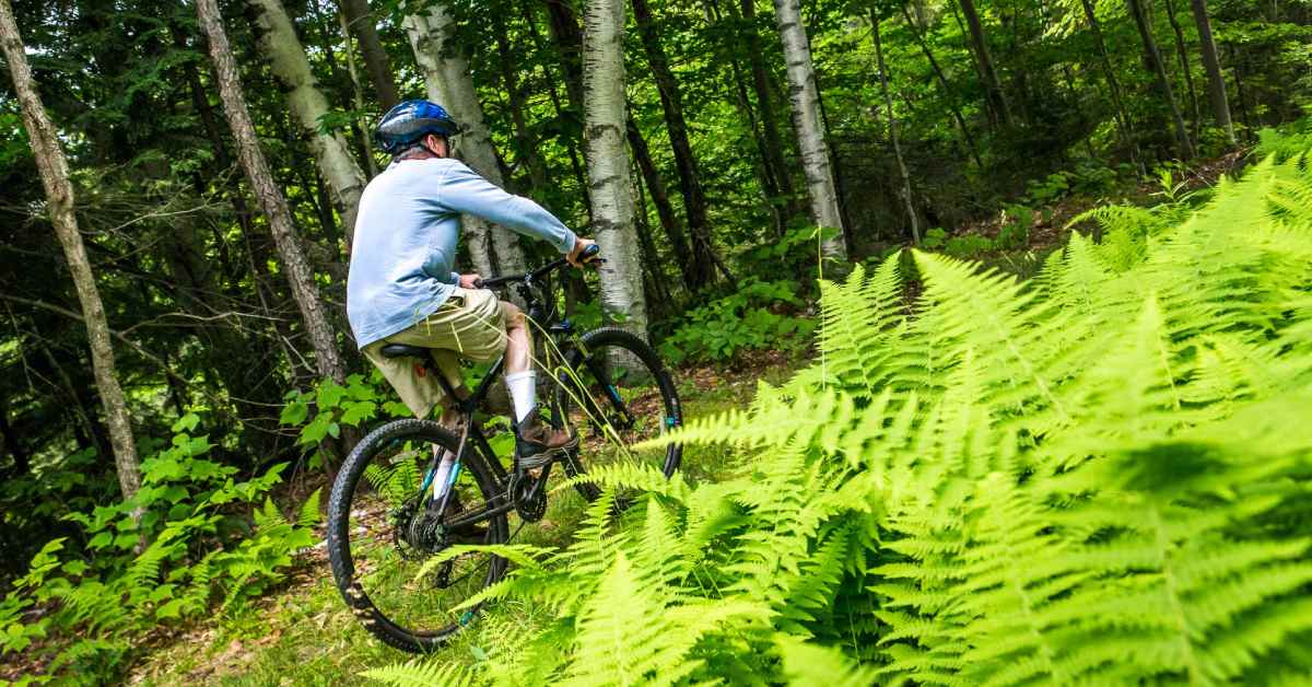 a mountain biker through the woods