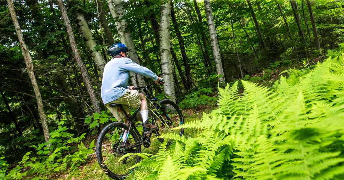 man riding a bike through a forest