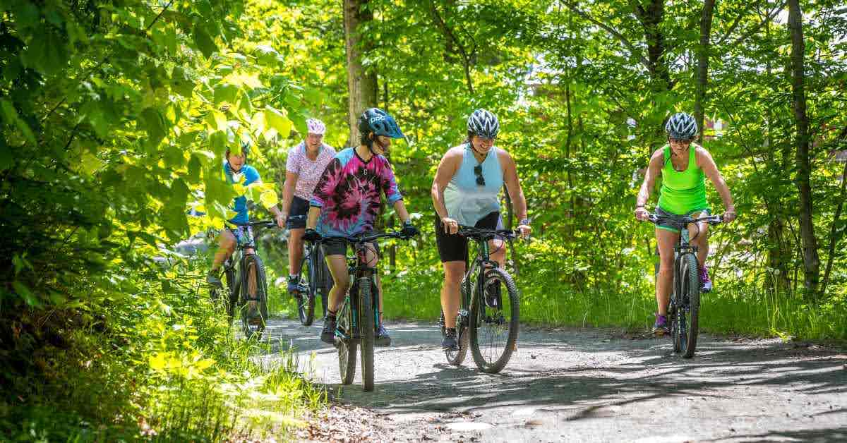 group of people riding bikes on a trail in the woods