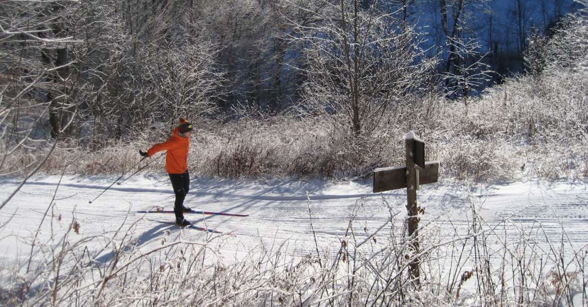 cross country skier in an orange jacket