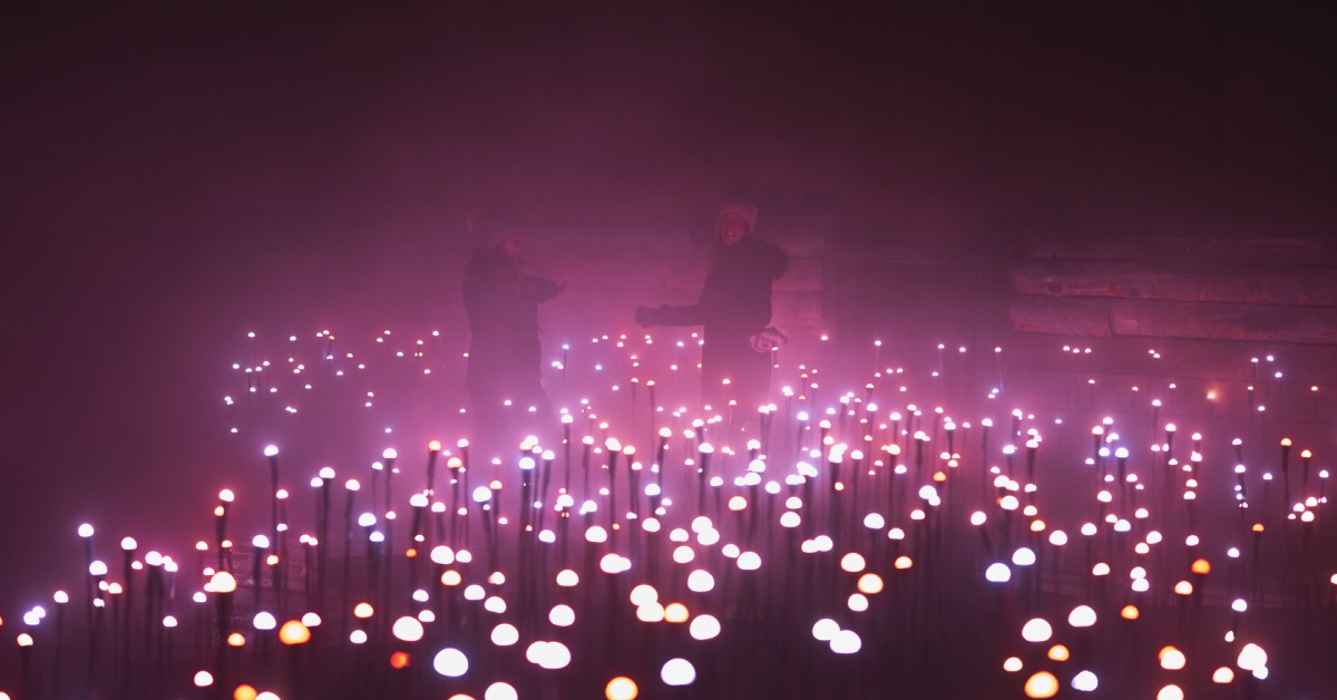 people standing near purple lights